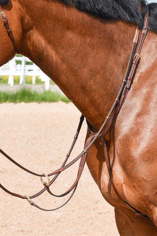 EQ-Line Martingale with Rings That Open Brass Brown