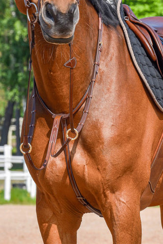 EQ-Line Martingale with Rings That Open Brass Brown