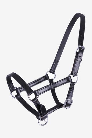 Fohlenhalfter Chico Leder