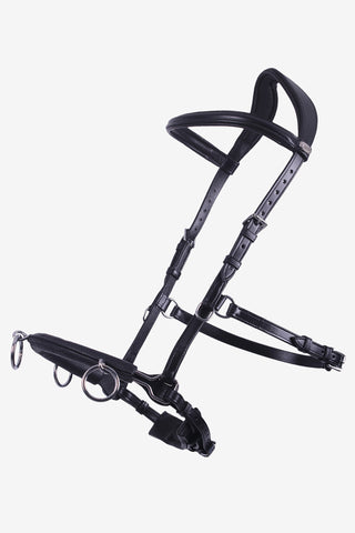 Cavesson Leather Black