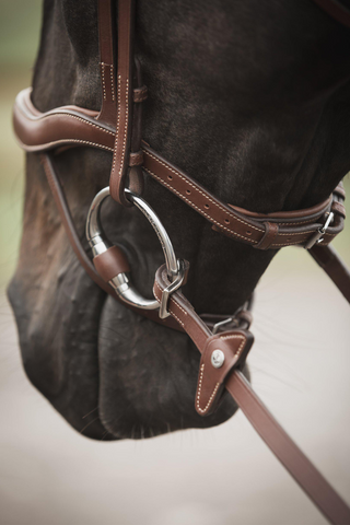 Eccelente Gummizügel mit Stopper Buckle Loop Cognac