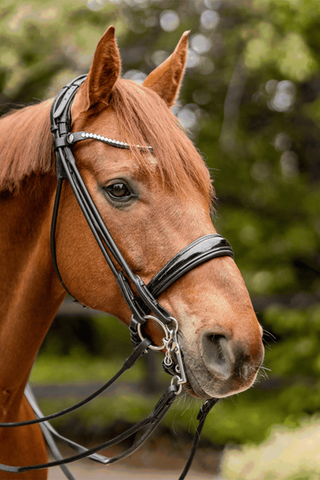 Turnado Bridong 2-delt 14mm