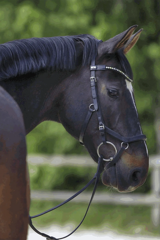 KK Balkenhol 2-Del Løse Ring 14mm