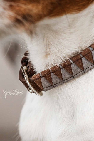 Triangle Hondenhalsband