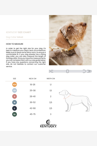 Manteau pour chien réfléchissant