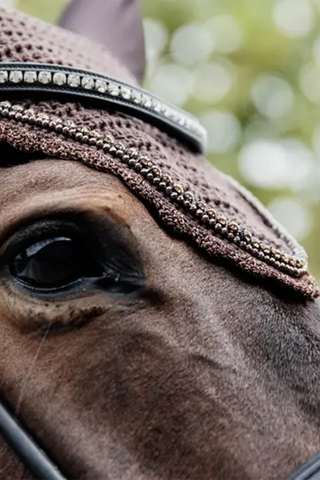 Stone & Pearl Lange Geïsoleerde Oorkap Bruin