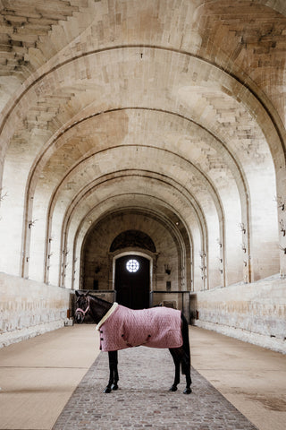 Show Rug Velvet 160g Old Rose