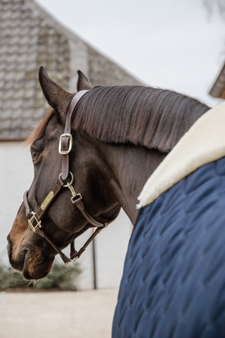 Staldeken Comfort 100g Navy