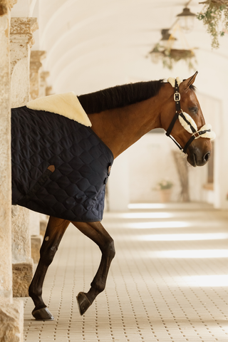 Staldeken Comfort 100g Navy