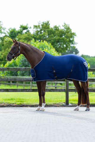 Couverture polaire avec décoration Marine/argent
