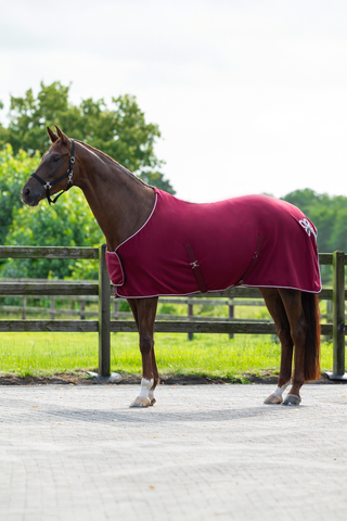 Fleecedeken met decoratieve bies Bourgondisch/zilver