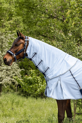 PROTECT Fliegenhals Blau/Navy