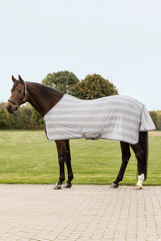 Economic Fliegendecke Silber