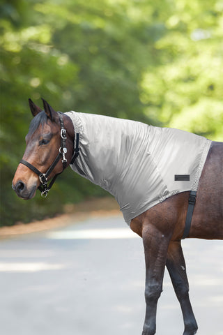 Ekzem Halsschutz Silber