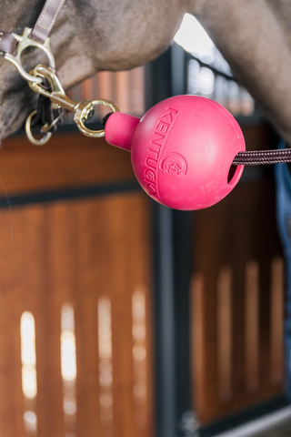 Protection d’Attache Boll Rose
