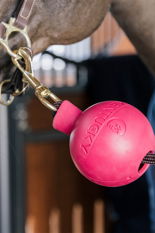 Protection d’Attache Boll Rose
