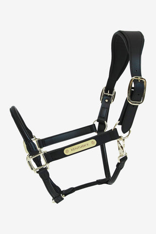 Anatomisk Lædergrime Sort