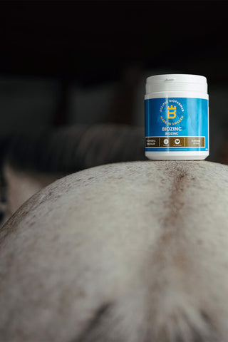 BioZinc