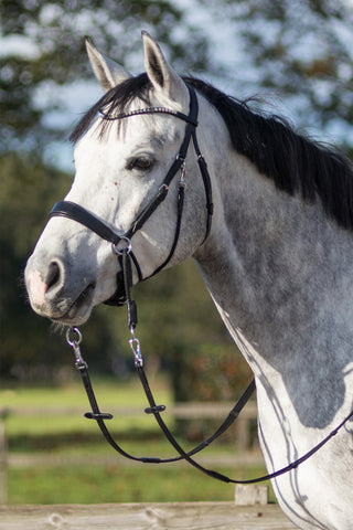 Sunna Bitless Bridle Black