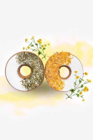 Paardensnoep Donuts Goudsbloem & Peterselie 2-pack