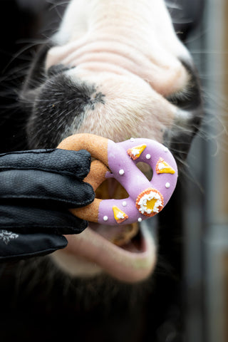 Paardensnoepjes Pretzels Foodie 8-pack