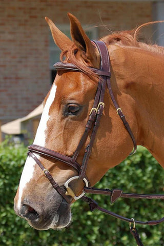 Anatomisk trense med kombineret næsebånd Dyon Collection brun