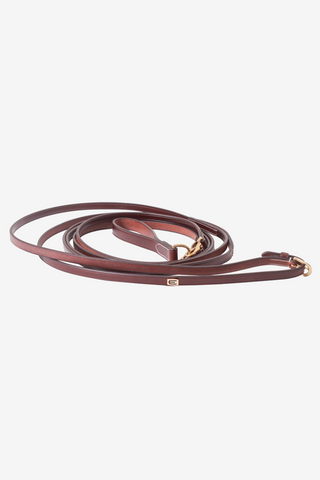 Draw Reins Leather Brass Brown