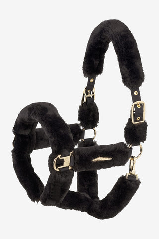 Sheepskin Halter Complete Heritage AW25 Black Truffle