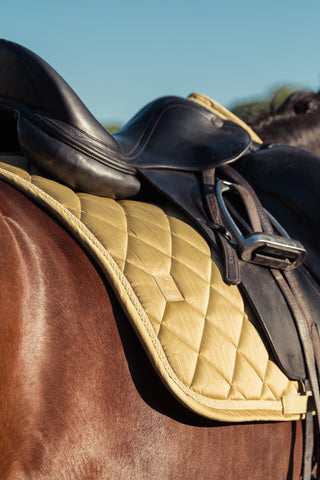 Schabrak Glossy Heritage AW25 Cardamom