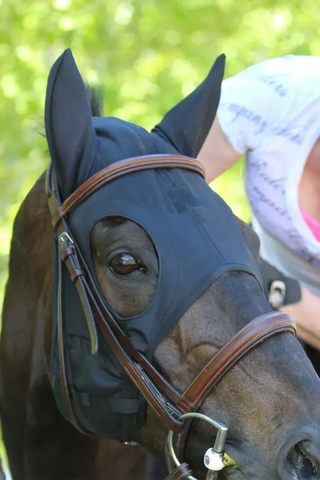 Fenwick Soundless Zwart