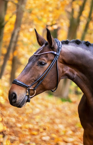 Träns Remontnosgrimma Rundsytt Spirit Svart/Silver