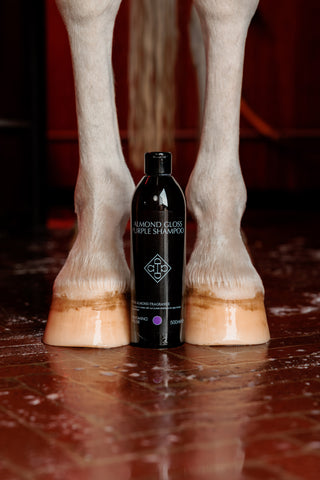Almond Gloss Purple Shampoo 500ml
