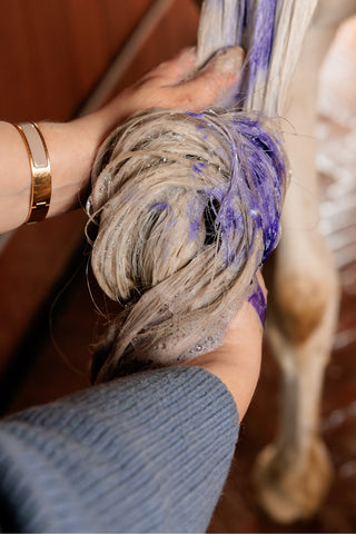 Almond Gloss Purple Shampoo 500ml