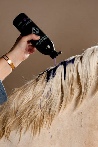 Almond Gloss Purple Shampoo 500ml