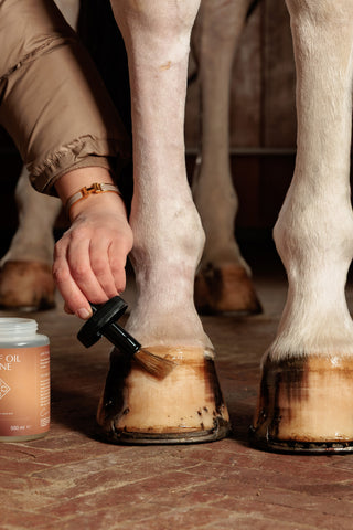 Hovolja shine Naturel 500ml