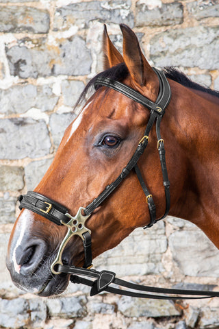 Hackamore Kopstuk Dyon Collection Zwart