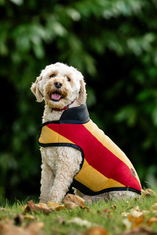 Newmarket Hondenfleece Medium Witney Gold