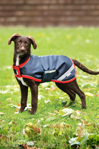 Rambo Hundedecke 100g