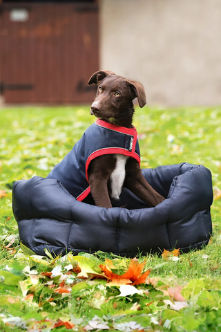 Rambo Hundedecke 100g
