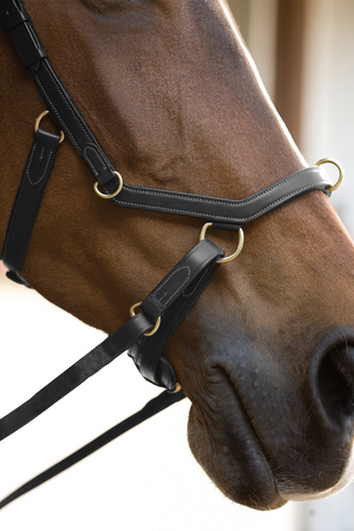 Rambo Micklem Bridle Multi