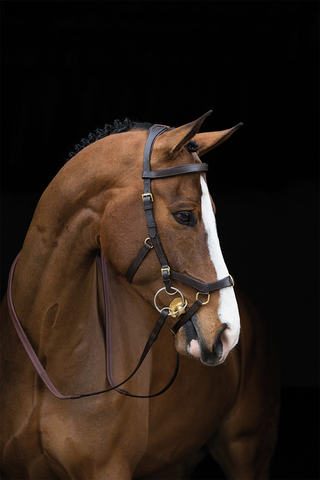 Rambo Micklem Bridle Multi