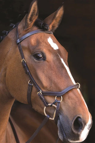 Rambo Micklem Bridle Multi