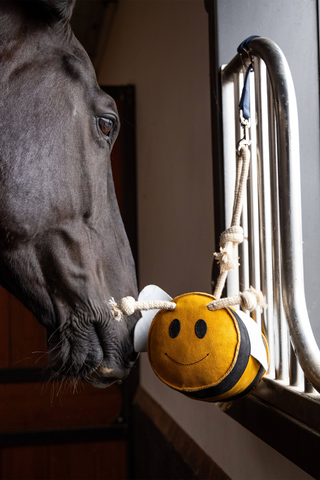 Horse Toy Bee
