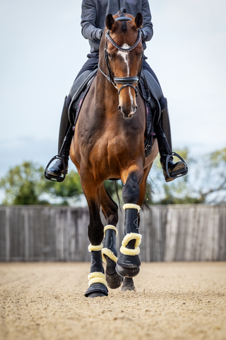 Motionflex Dressage Boots Sheepskin Black