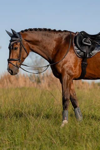 Arika Mesh Brushing Boots