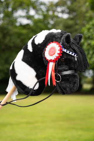 Hobby Horse Rosette Package