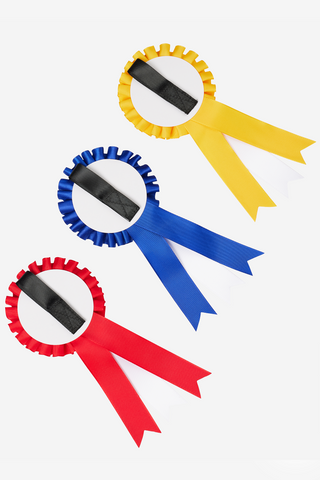 Hobby Horse Rosette Package