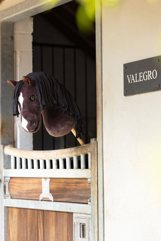 Hobby Horse Valegro