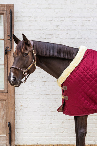 Show Rug Staldeken 160G Bordeaux