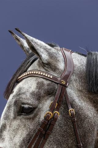 Kandaren Genickstück Dyón Collection Braun